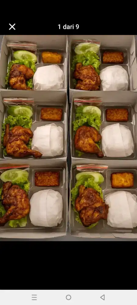 Catering nasi box, rice bowl murah harga 12.000/box