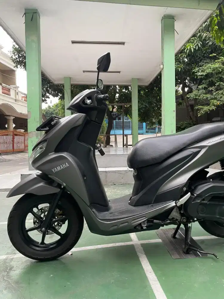 Freego S keylles 2019