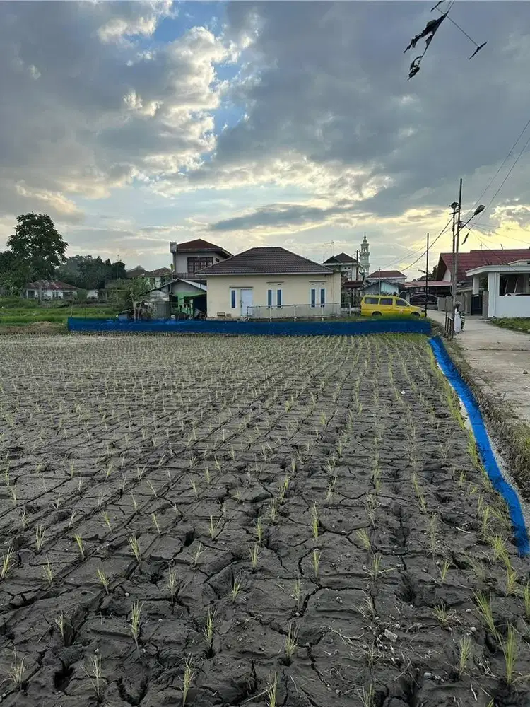 Tanah Bersetifikat SHM