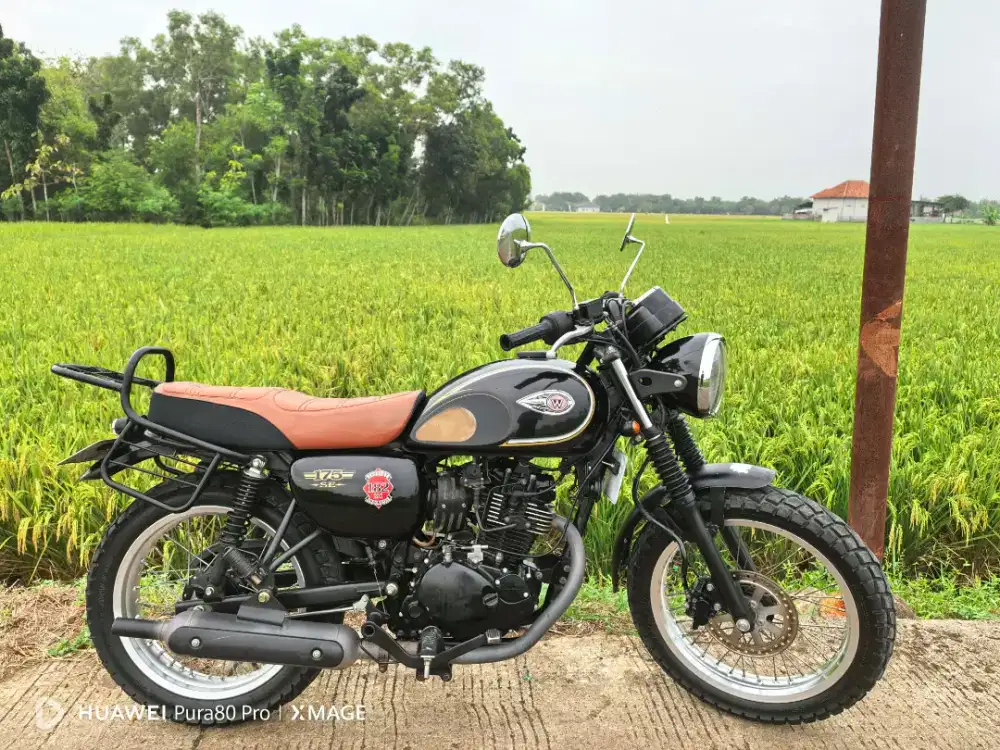 Kawasaki w175 2018