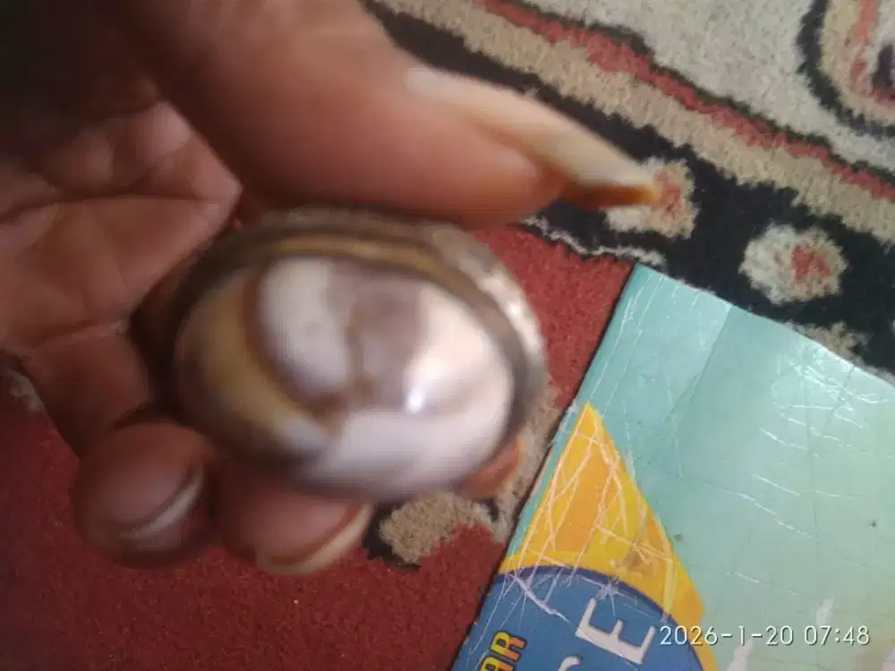 Jual Batu Akik Kopi Susu