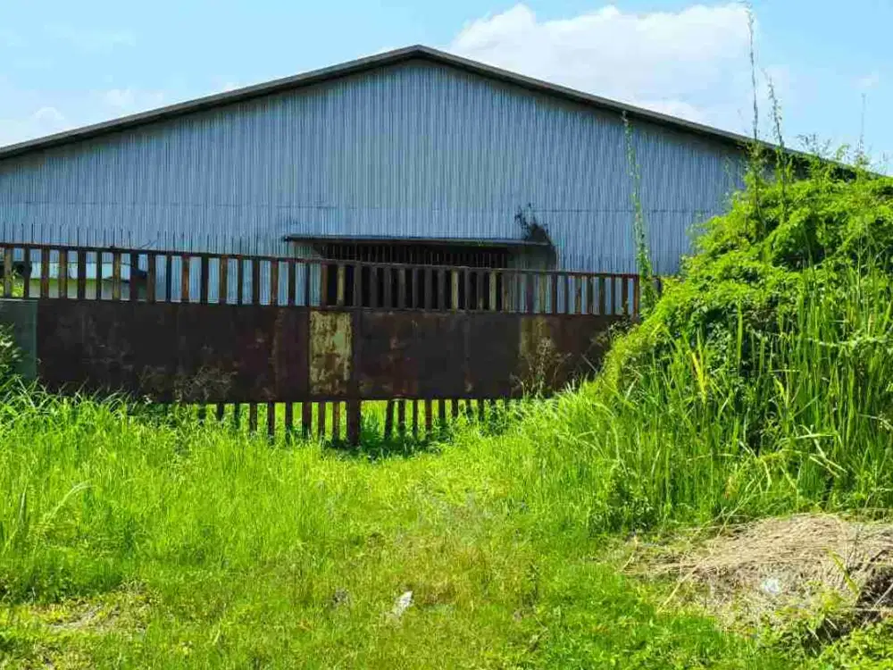 Gudang Eks Batubara di Jl Lingkar Kaliwungu Kab Kendal