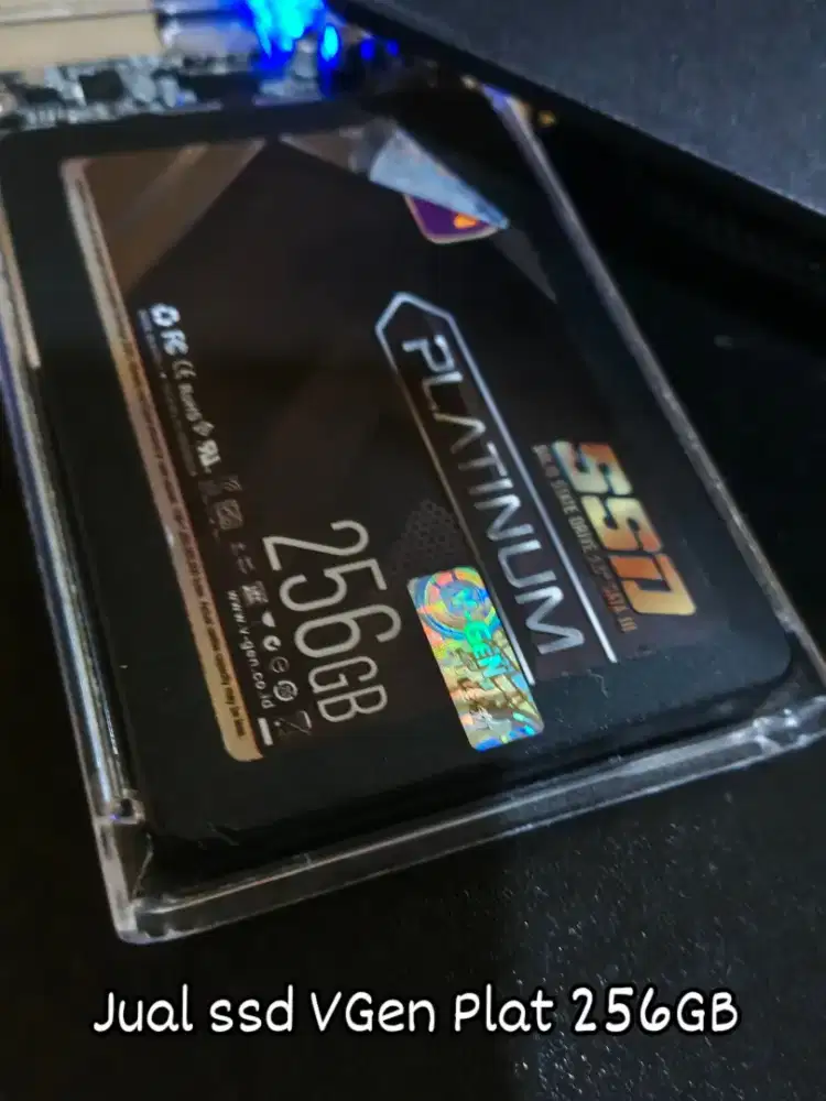 Jual SSD Vgen Plat 256GB