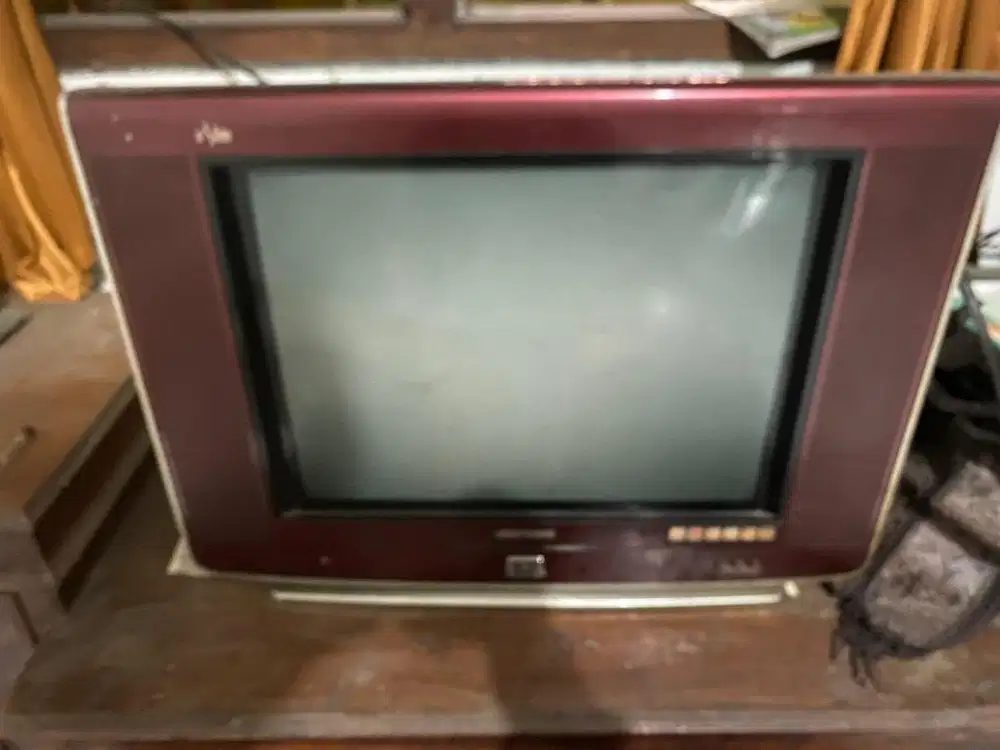 TV polytron 21 inc