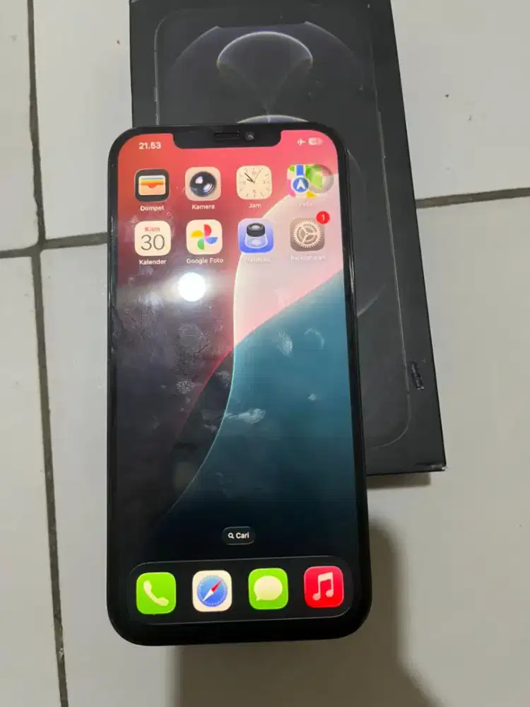 iPhone 12 pro max