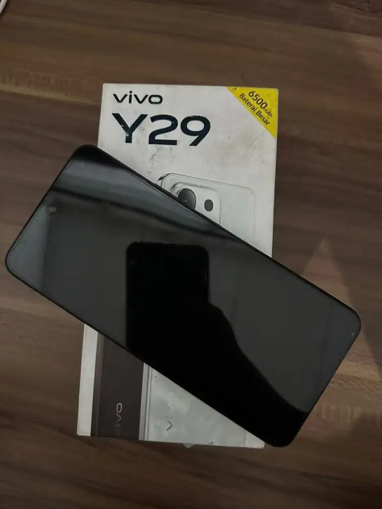 vivo y29 8/256 gb