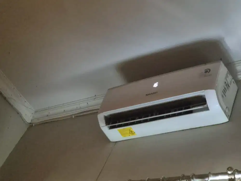 Ac sharp 1/2 pk PRE-LOVED