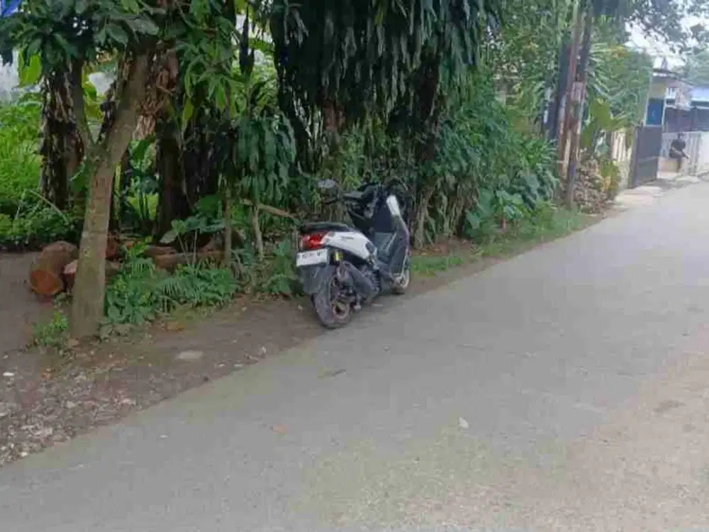 tanah kosong