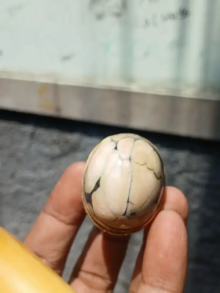 Batu bacan kura albino