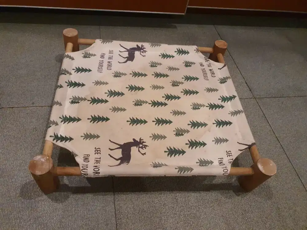 Tempat tidur kucing