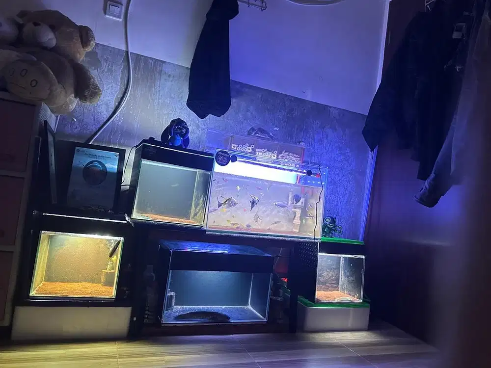 Dijual 5 aquarium fullset + meja + ikan