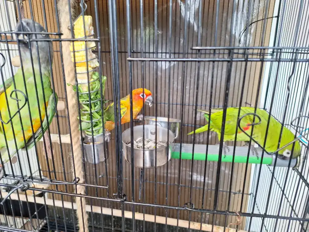 Jual borongan , HM,SP,SC