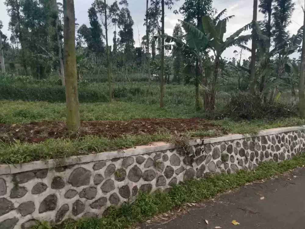 JUAL CEPAT TANAH STRATEGIS GARUT HARGA TERJANGKAU AKSES MASUK MOBIL
