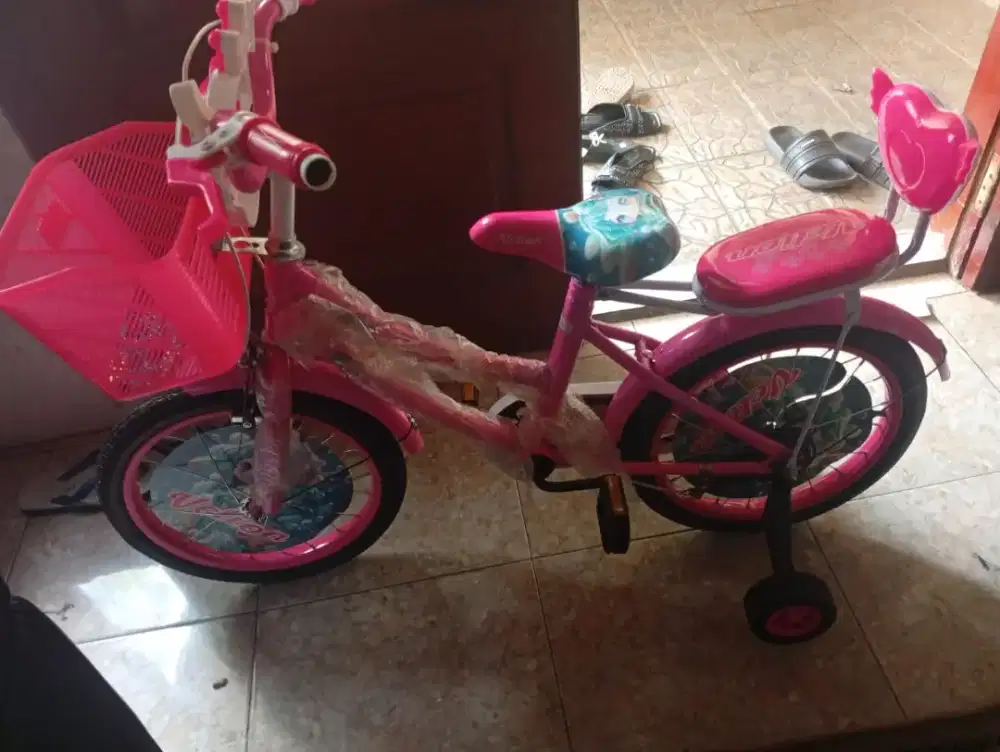 Sepeda anak merek velion