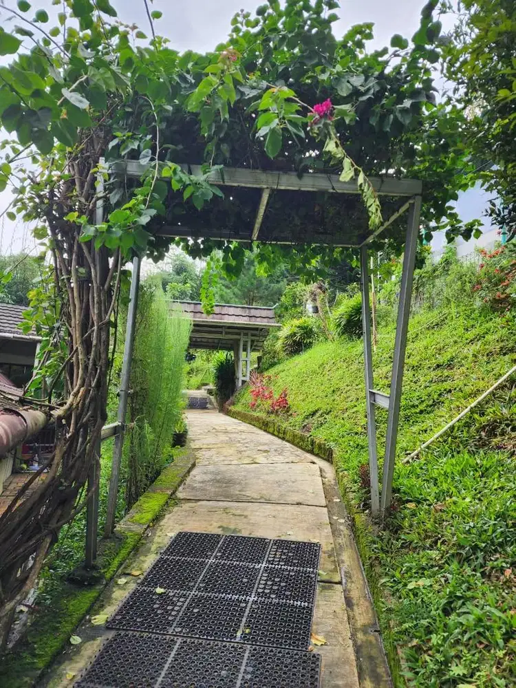 Dijual Rumah Kebun di Kalaparea dekat pintu toll keluar Karang Tengah