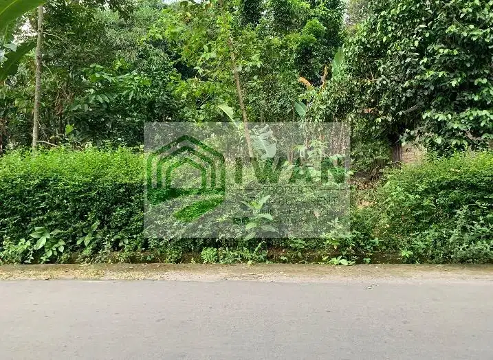 Tanah Pekarangan Pengging Hadap Jalan Masuk Utama Poros Desa