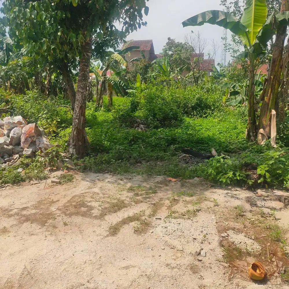 TANAH TERDEKAT KAMPUS ITERA DIBELAKANG POM BENSIN DP N HARGA MURAH