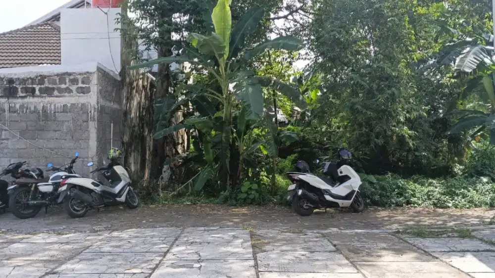 Tanah murah dekat kampus' UGM di Pogung mlati Sleman Yogyakarta