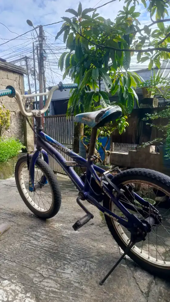 Sepeda Wimcycle