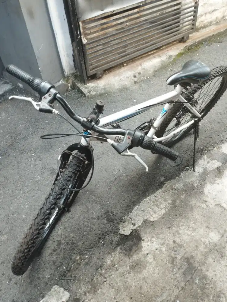 Sepeda senator 26