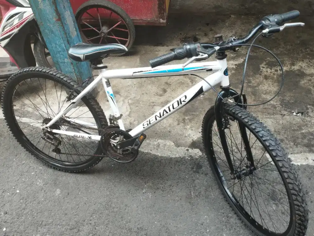 Sepeda senator 26