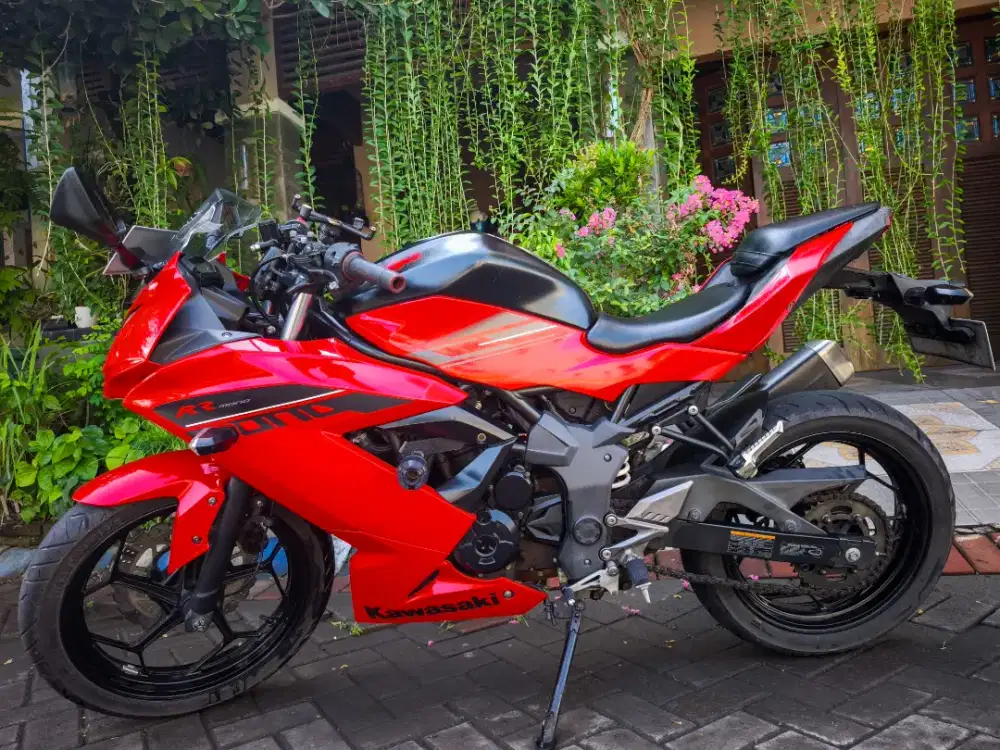 Kawasaki Ninja 250 Mono/SL