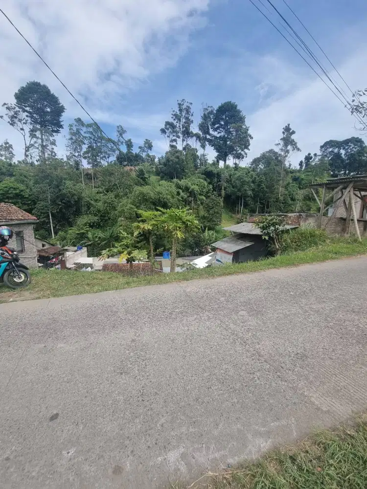 Murah pinggir jalan