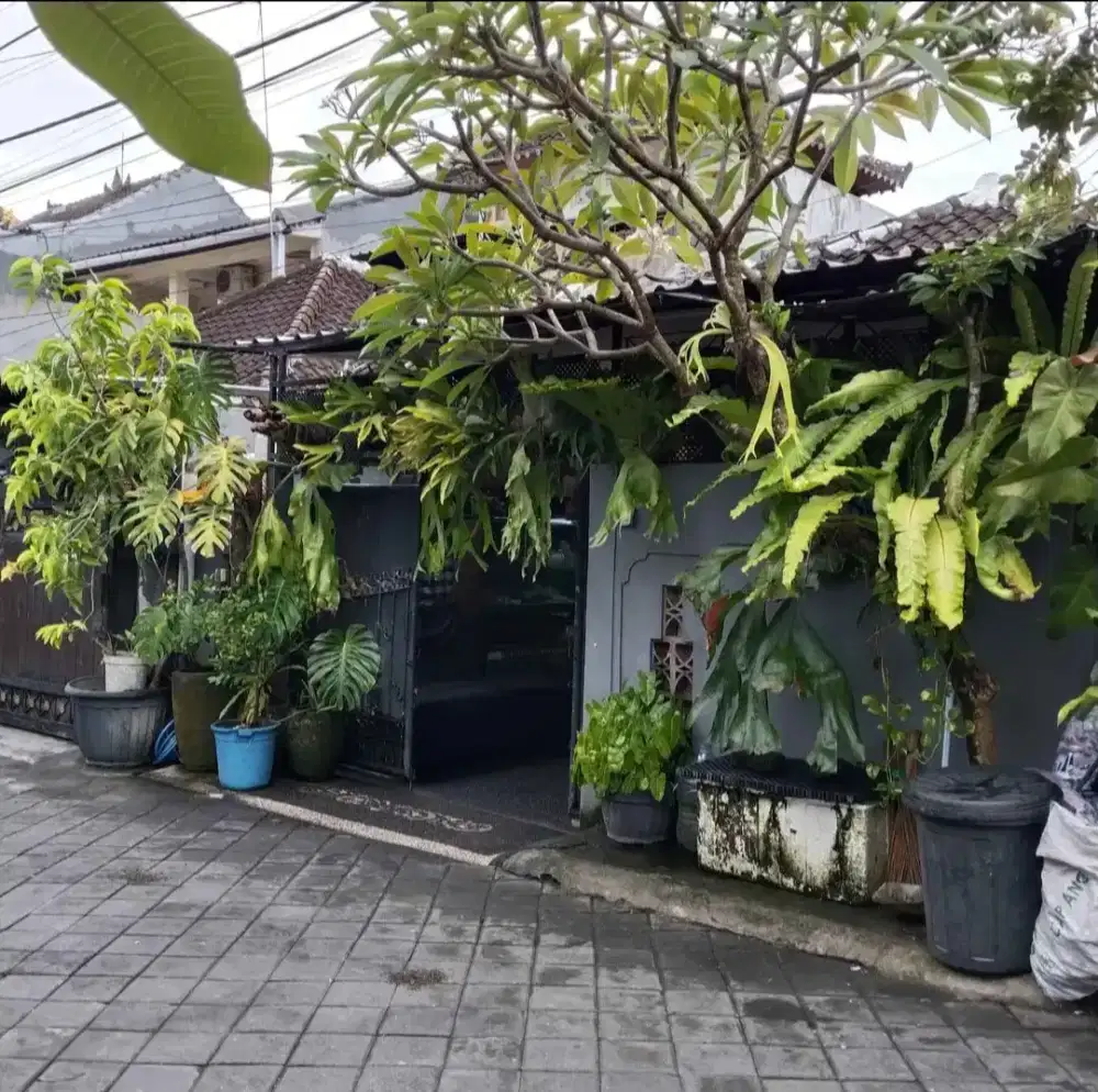 Jual rumah second lantai 1 di Tegal Buah Padang Sambian Denpasar Bali