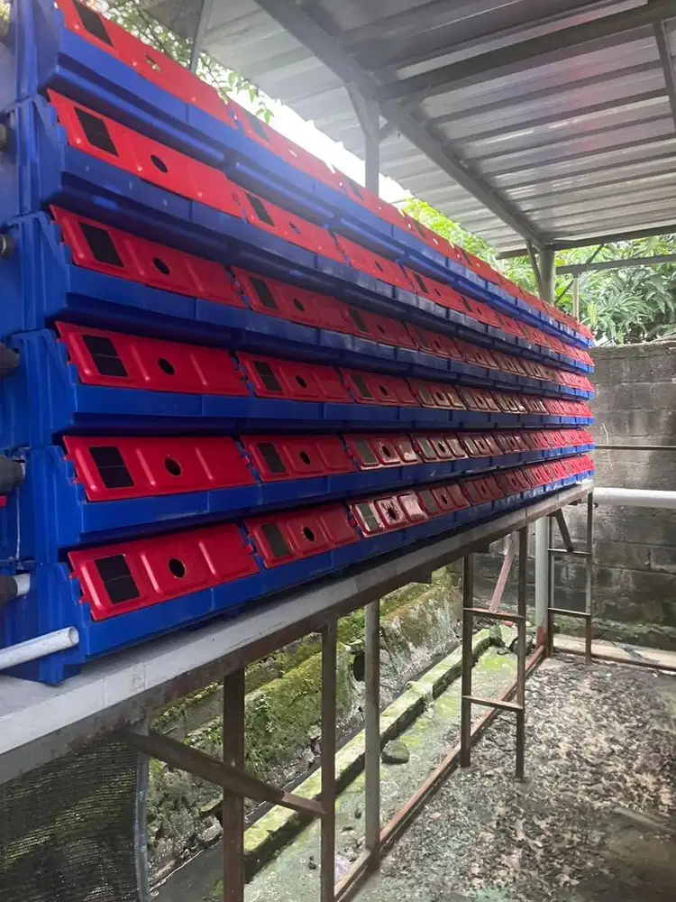 Kandang Kepiting kapasitas 200 ekor