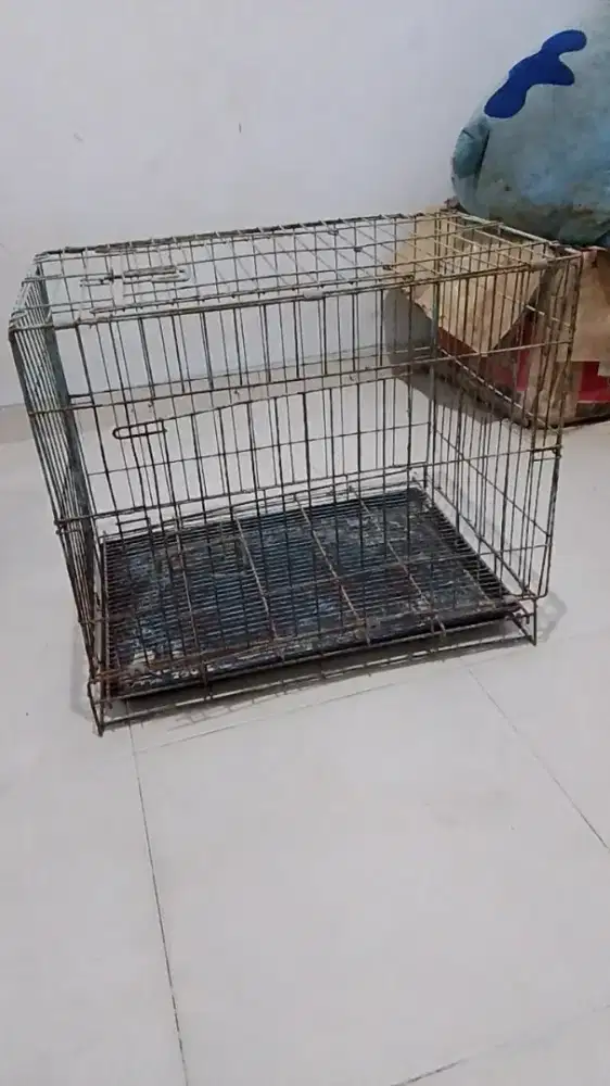 Kandang kucing ukuran 61 cm × 44 cm × 51 cm