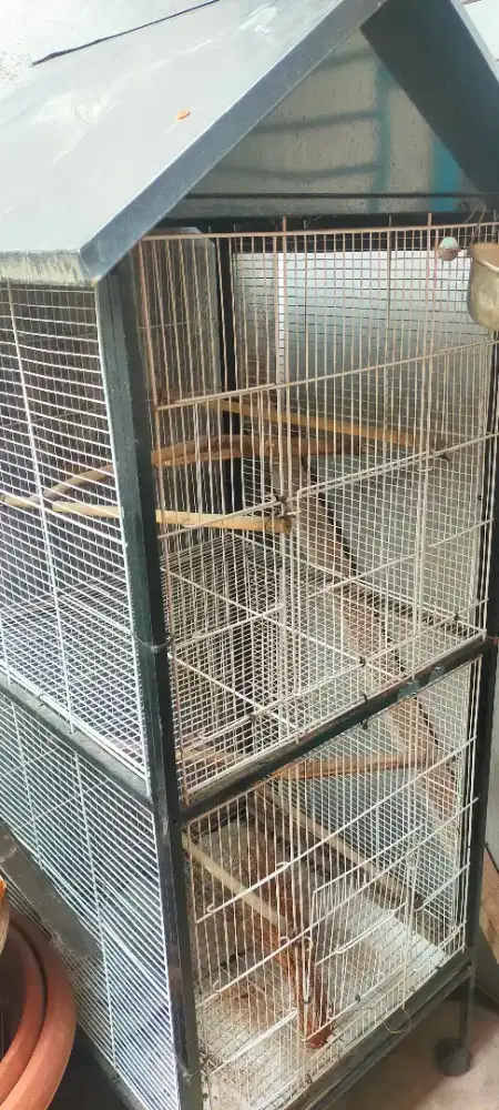 Kandang besi untuk burung