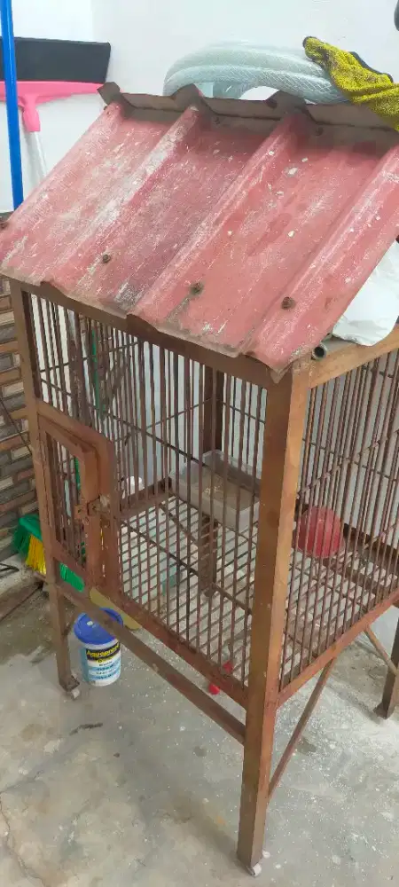 Kandang besi untuk burung, kucing