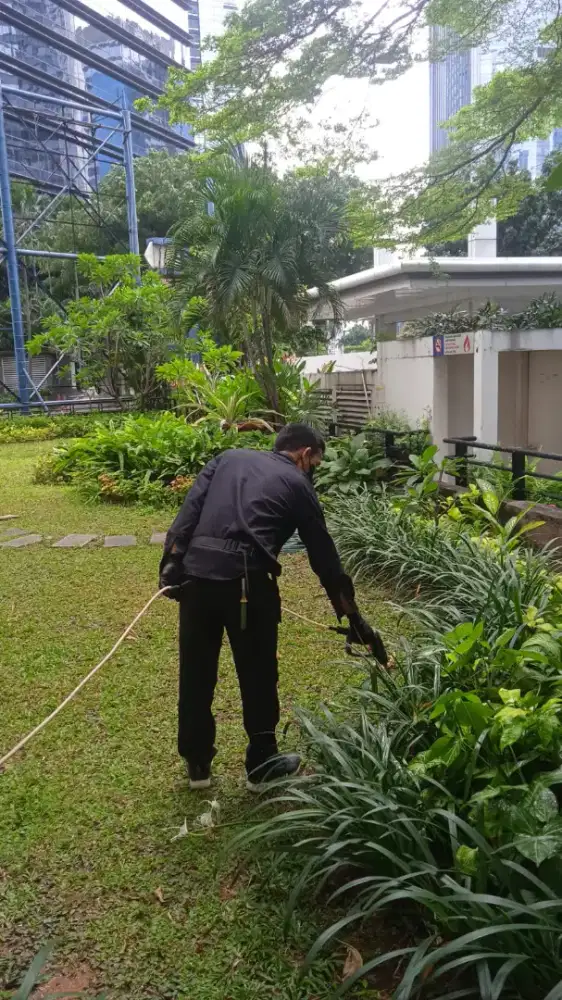 Jasa pengendalian hama dan anti rayap