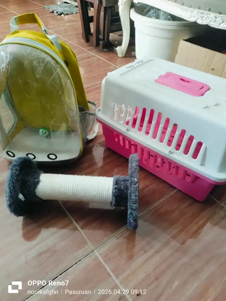 Perlengkapan kucing