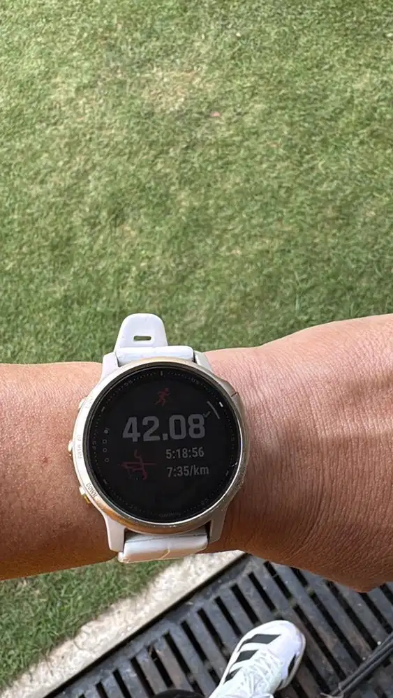 Jam Garmin Fenix 6S Pro