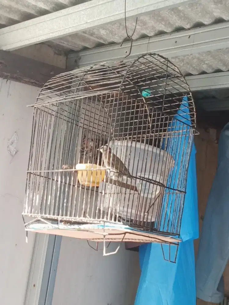 Sangkar besi kotak
