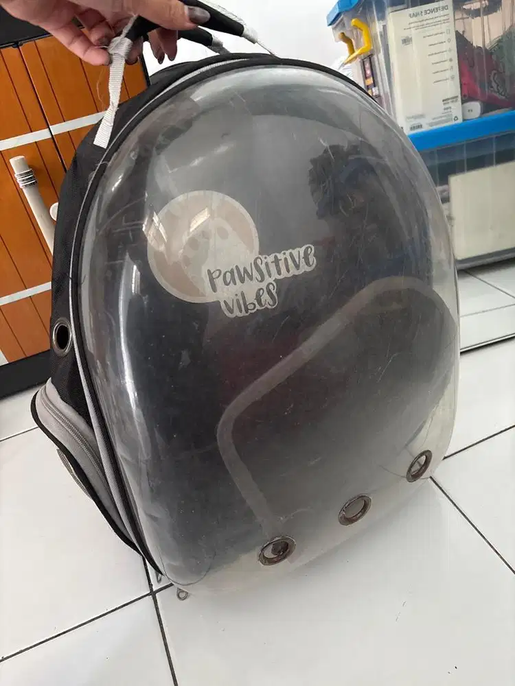 Tas astronot anabul