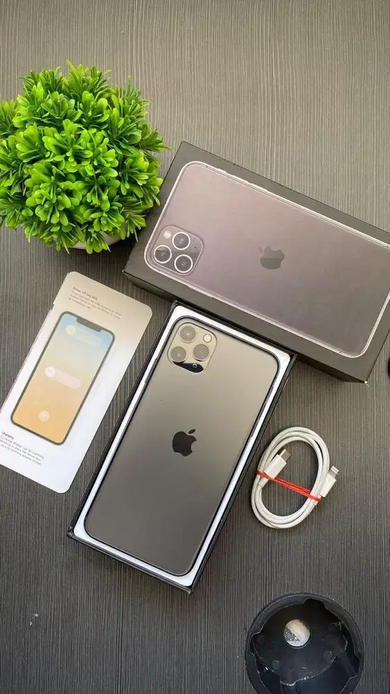 IPHONE 11 PROMAX PRO MAX 64GB INTER MULUS
