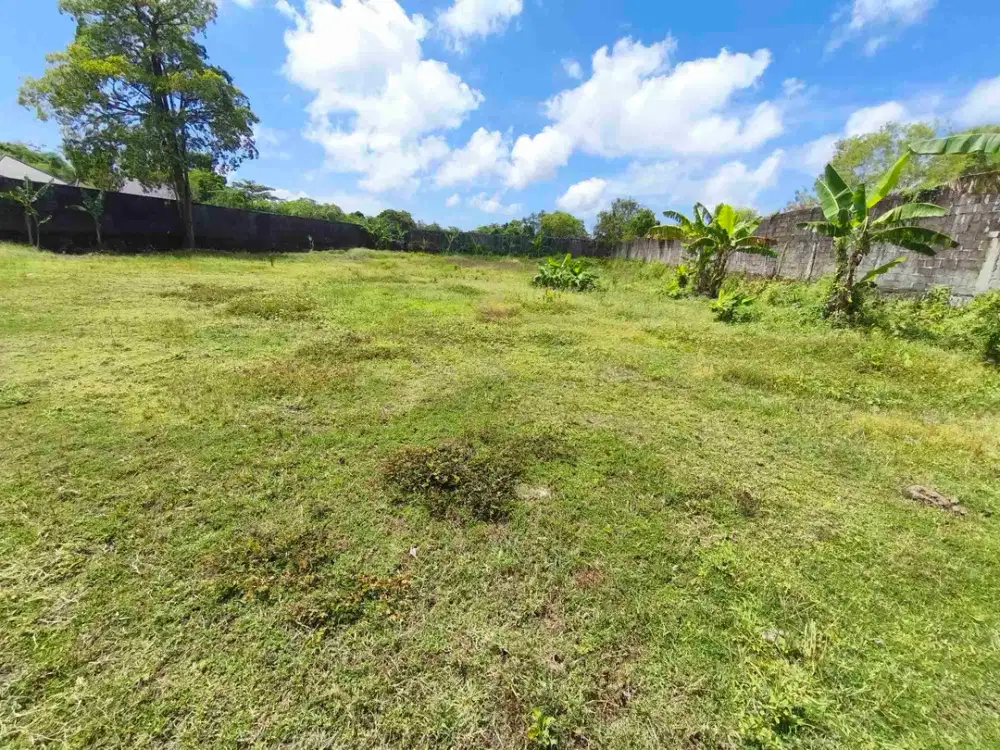 dijual tanah 2510m² IDR 450 juta per are dekat pantai Jimbaran Badung Bali