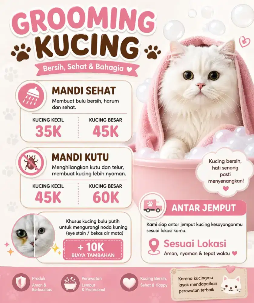 Grooming kucing