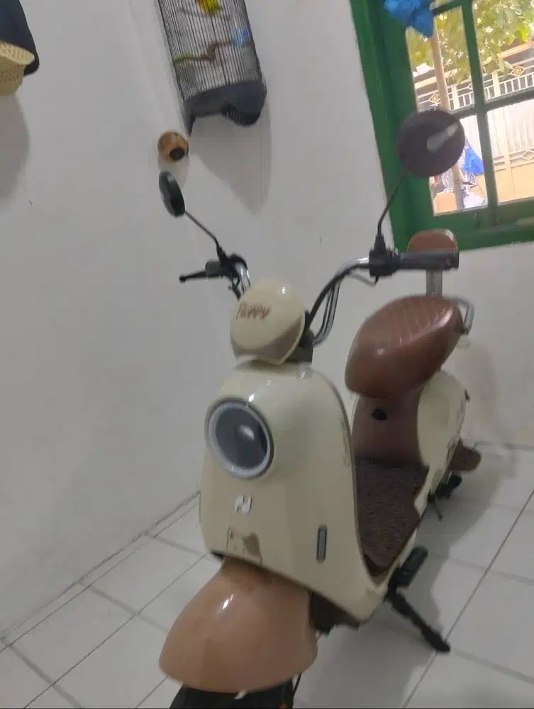 Merk Nuv type floppy