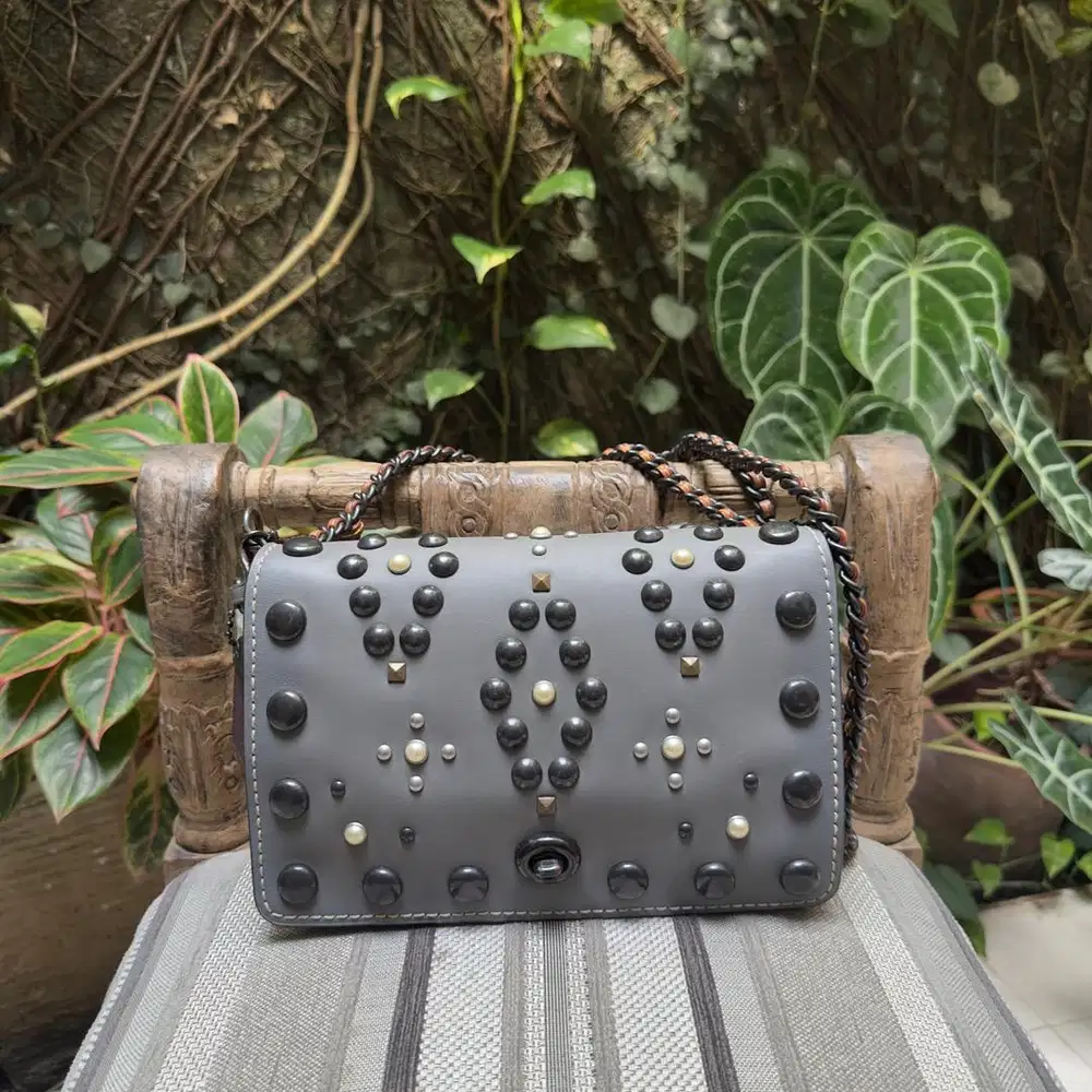 Coach bags slingbags