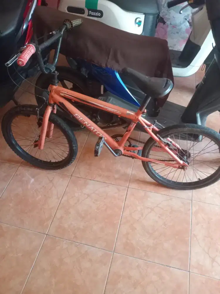 Sepeda bekas merk senator