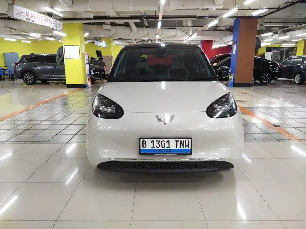 Wuling binguo longe range 2024 AT