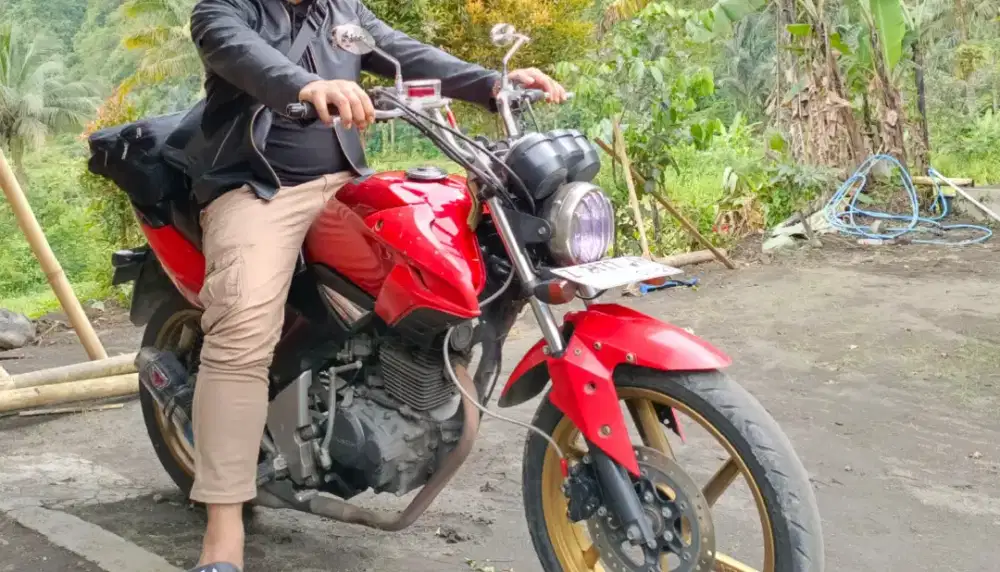 Tiger revo 2011