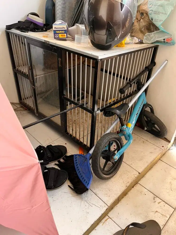 Kandang Kucing Bekas
