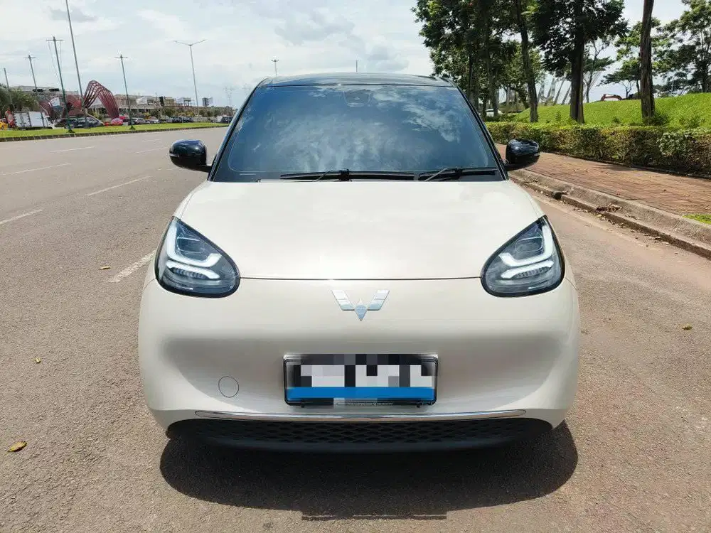 Wuling binguo ev pro range 333km 2024
