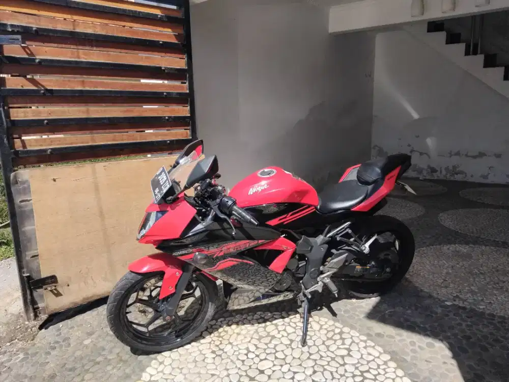Ninja 250 SL Mono