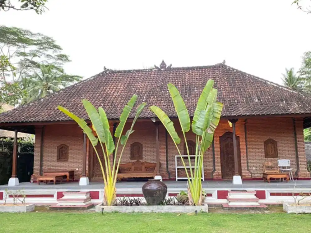 RUMAH CANTIK DI PEJENG – HUNIAN TENANG DENGAN POTENSI VIEW SAWAH YANG MEMIKAT(✅E