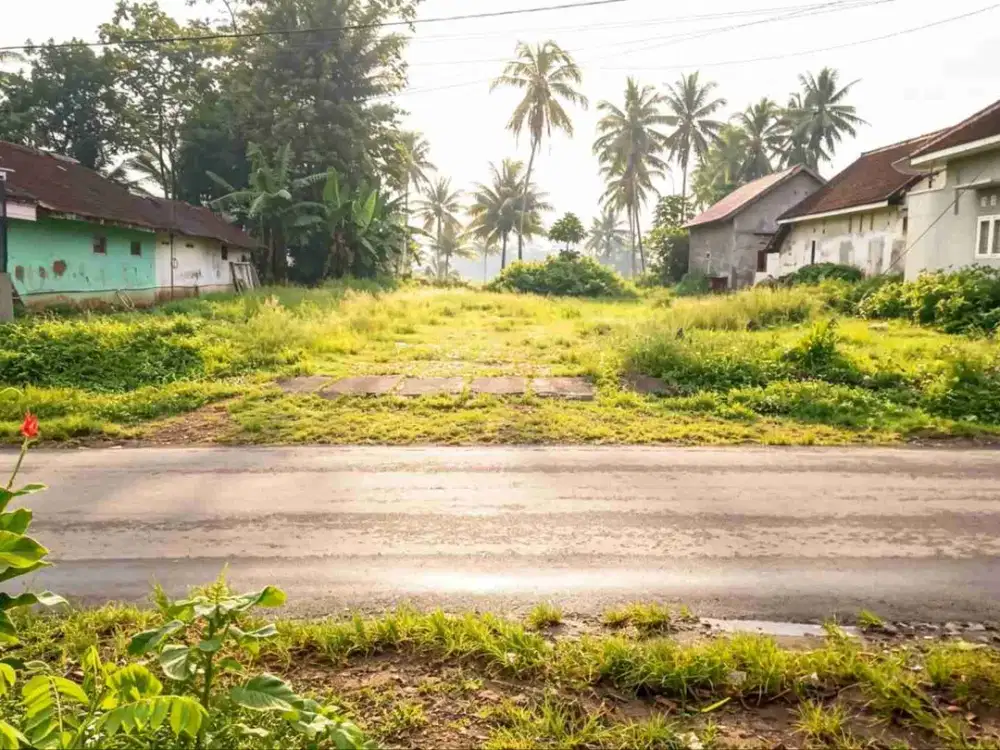 TANAH DATAR LOKASI SLOROK KALIBIRU KABUPATEN MALANG
